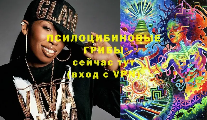 Галлюциногенные грибы Magic Shrooms  Вуктыл 